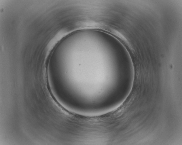 X0000072951472200607211114
