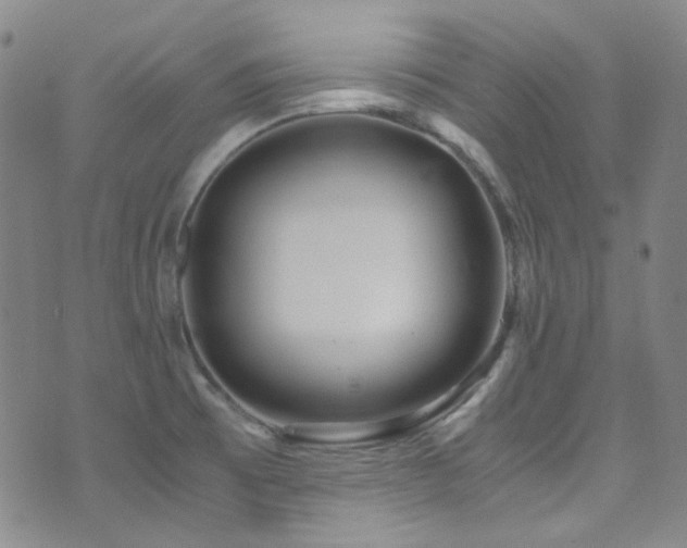X0000072951473200607211114