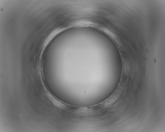 X0000072951478200607211114