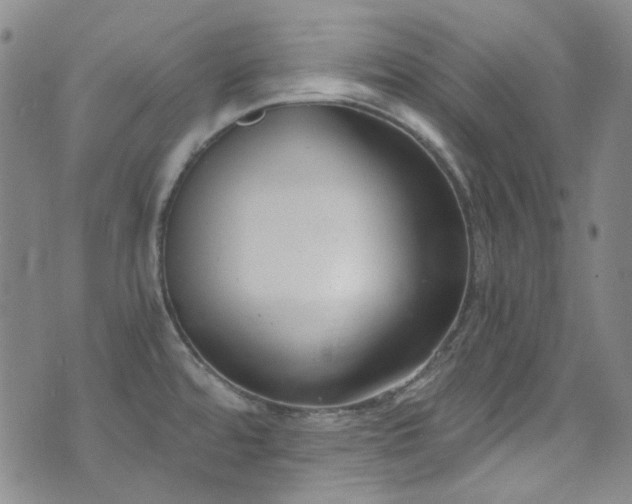 X0000072951480200607211114