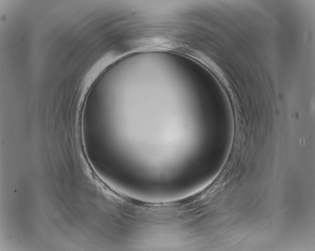 X0000072951488200607211114