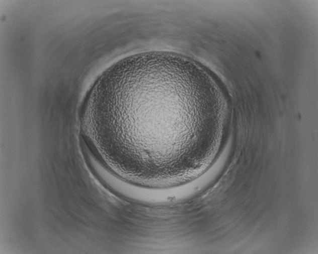 X0000072951508200607211114