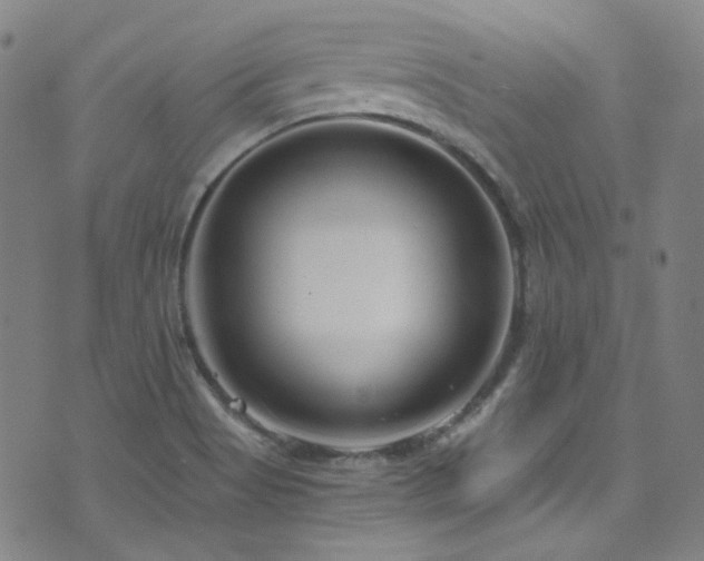 X0000072951513200607211114