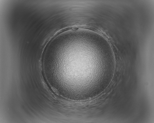 X0000072950002200607282242