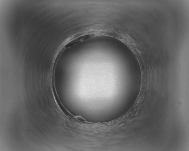 X0000072950003200607282242