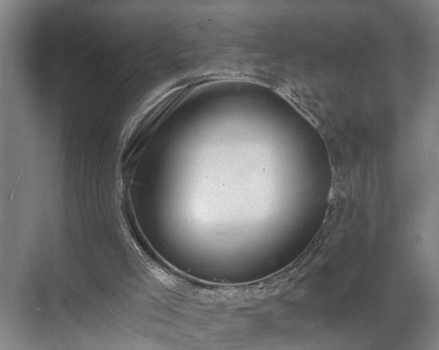 X0000072950005200607282242