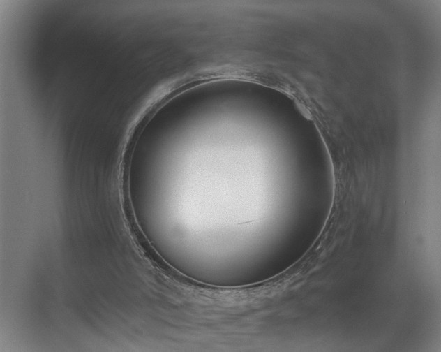 X0000072950006200607282242