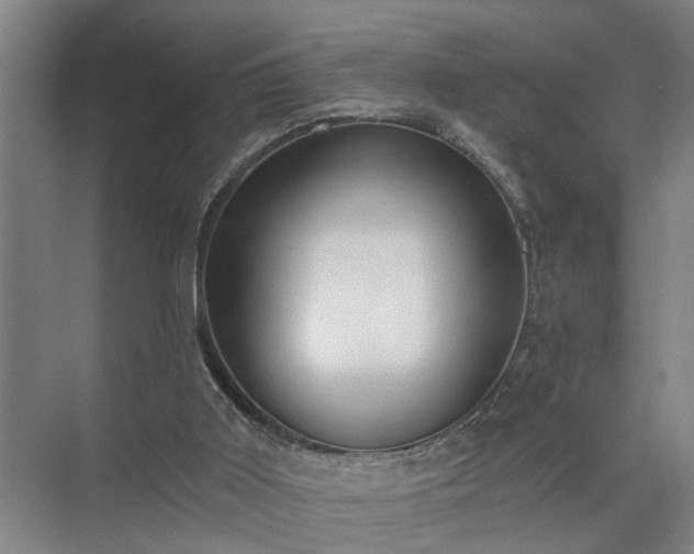X0000072950011200607282242