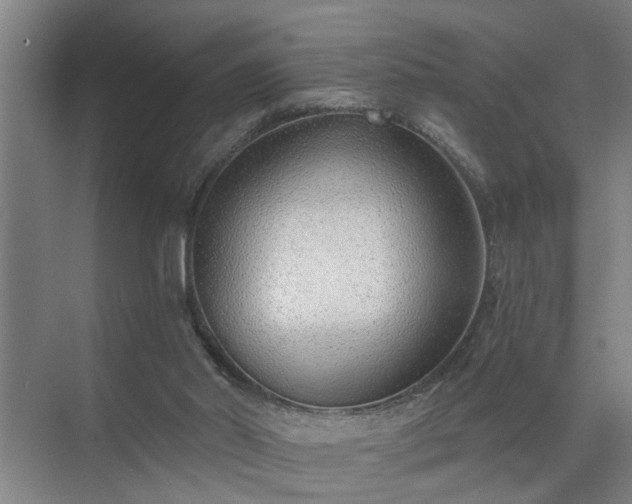 X0000072950014200607282242