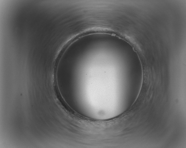 X0000072950015200607282242