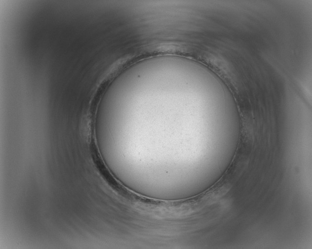 X0000072950016200607282242