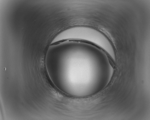 X0000072950017200607282242