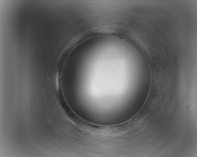 X0000072950020200607282242