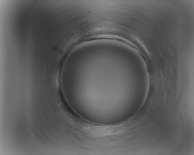 X0000072950023200607282242