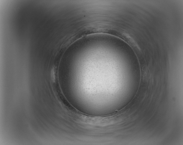 X0000072950026200607282242