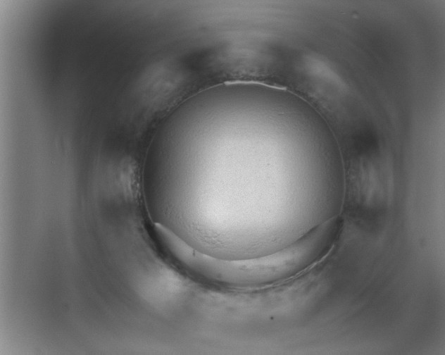 X0000072950029200607282241