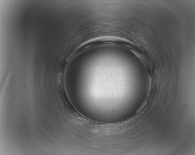 X0000072950033200607282241