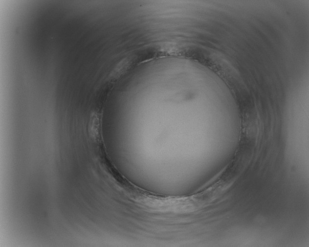 X0000072950036200607282241