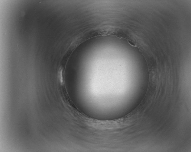 X0000072950042200607282241
