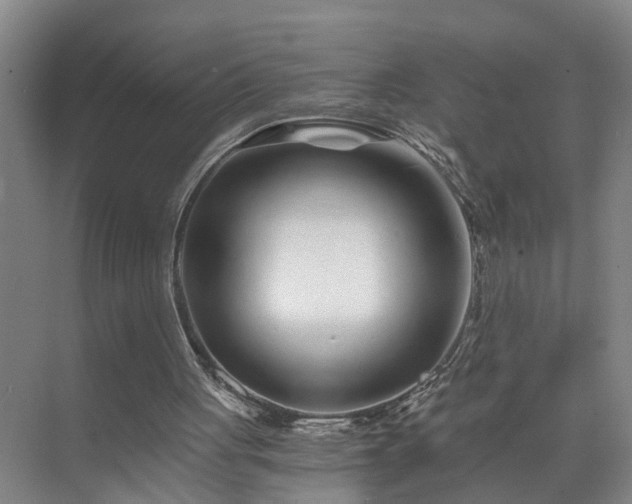 X0000072950051200607282240
