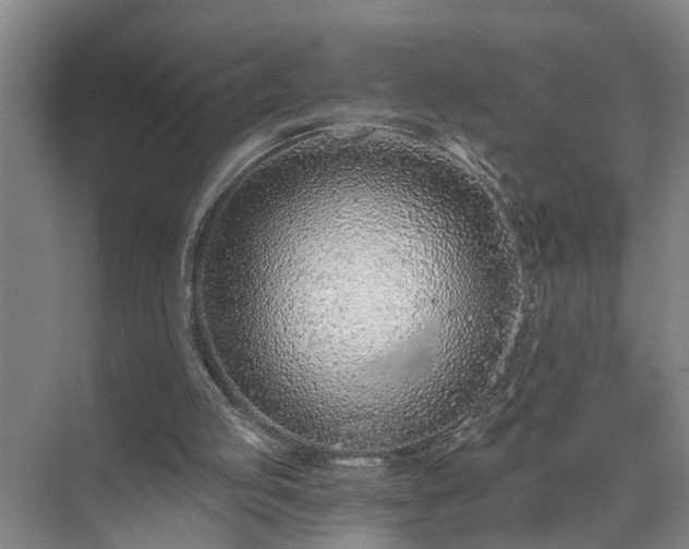 X0000072950053200607282240