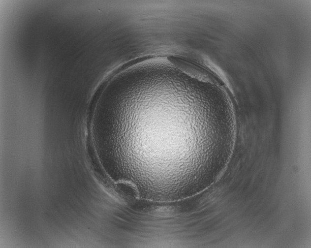 X0000072950059200607282240