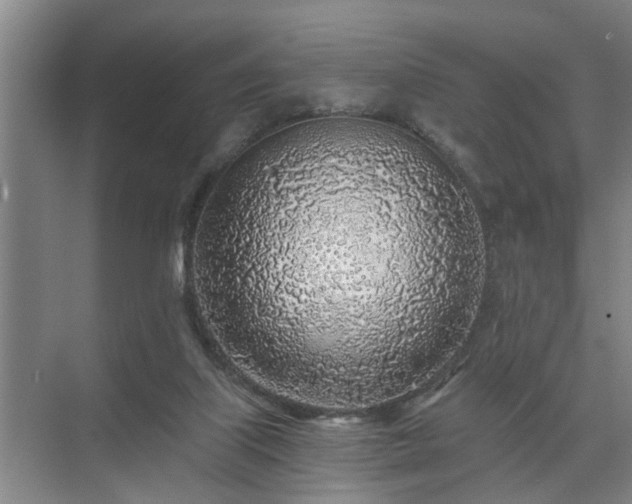 X0000072950067200607282241
