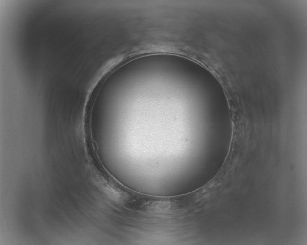 X0000072950104200607282240