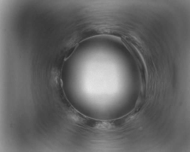 X0000072950125200607282240