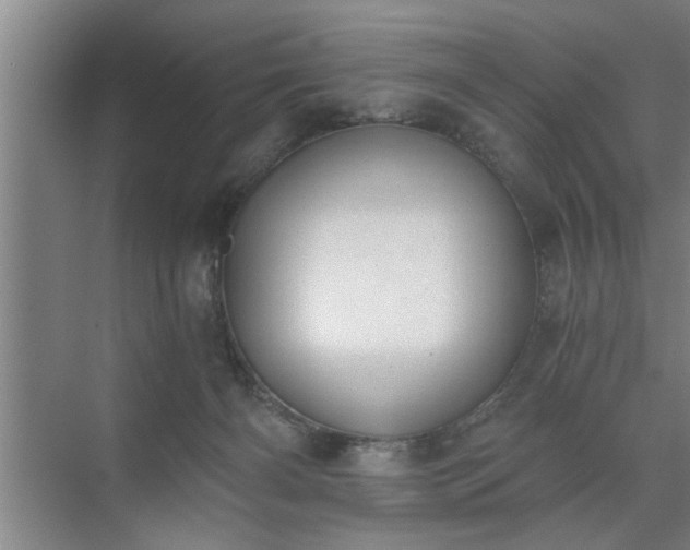X0000072950126200607282240
