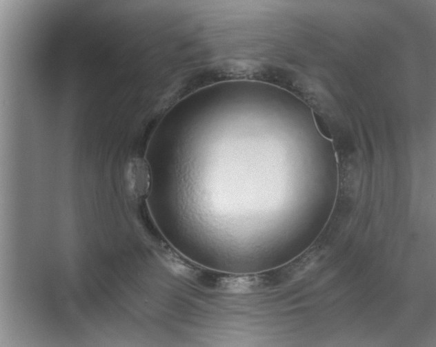X0000072950131200607282240