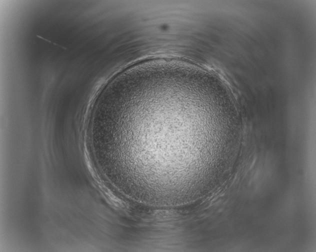X0000072950145200607282239