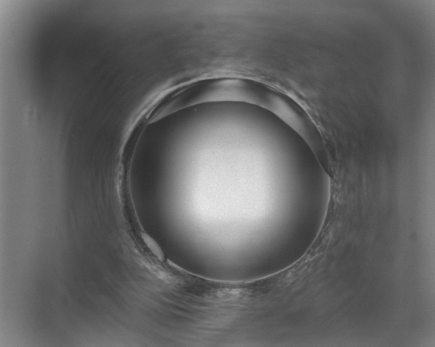 X0000072950152200607282239