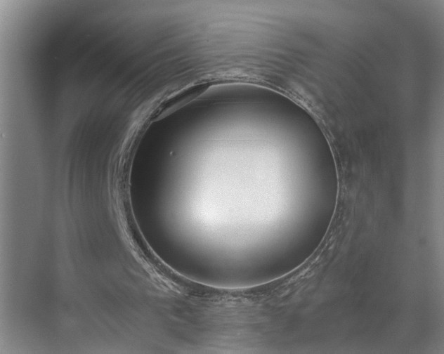 X0000072950193200607282239