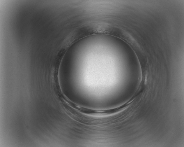 X0000072950217200607282238
