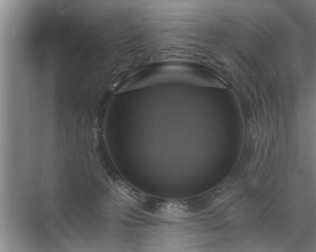 X0000072950223200607282238