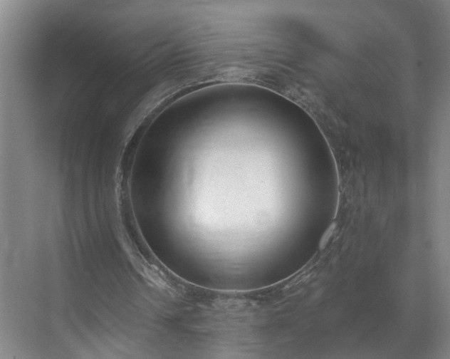 X0000072950242200607282237