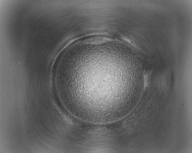 X0000072950243200607282237