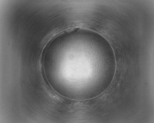 X0000072950290200607282237