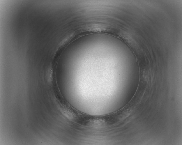 X0000072950304200607282237