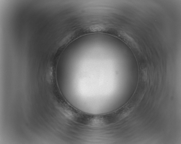 X0000072950308200607282237