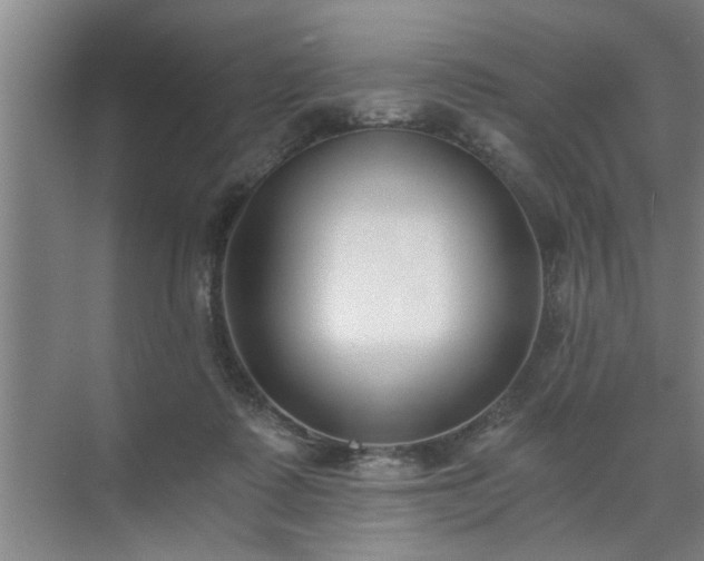 X0000072950315200607282237