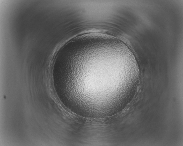 X0000072950337200607282235