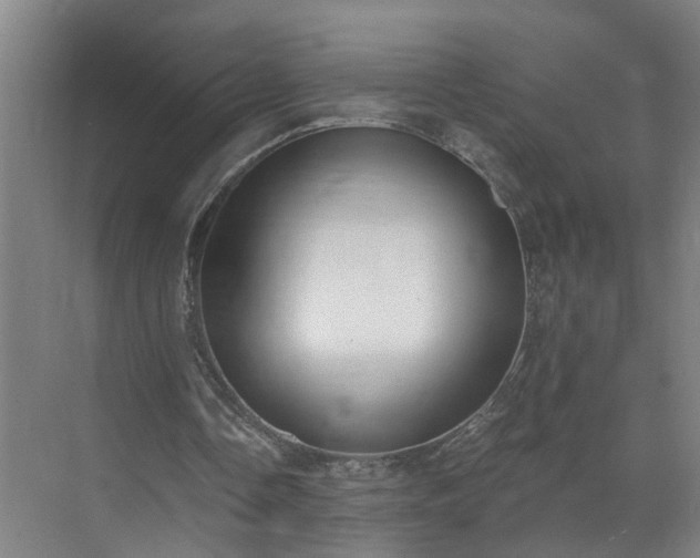X0000072950338200607282236