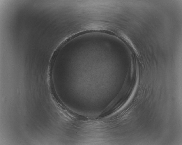 X0000072950387200607282235