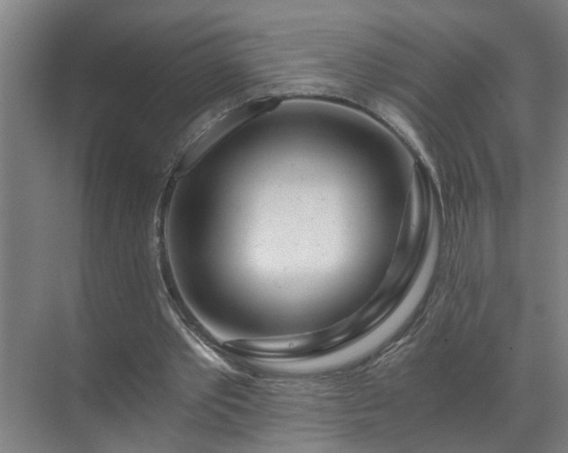 X0000072950389200607282235