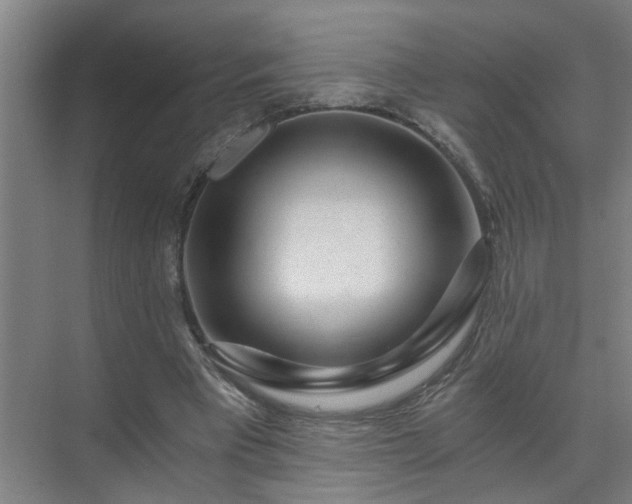 X0000072950393200607282235