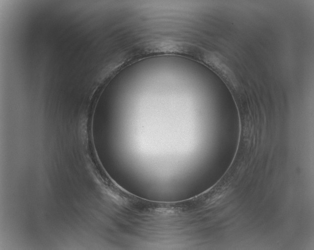 X0000072950394200607282235