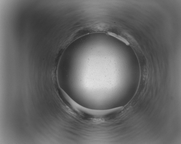 X0000072950409200607282235