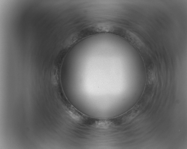 X0000072950414200607282235